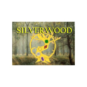 Silverwood: The Quest for Power – A Thrilling Role-Playing Board Game Adventure
