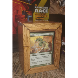 img_20241127_115732387