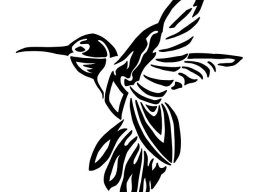 Hummingbird
